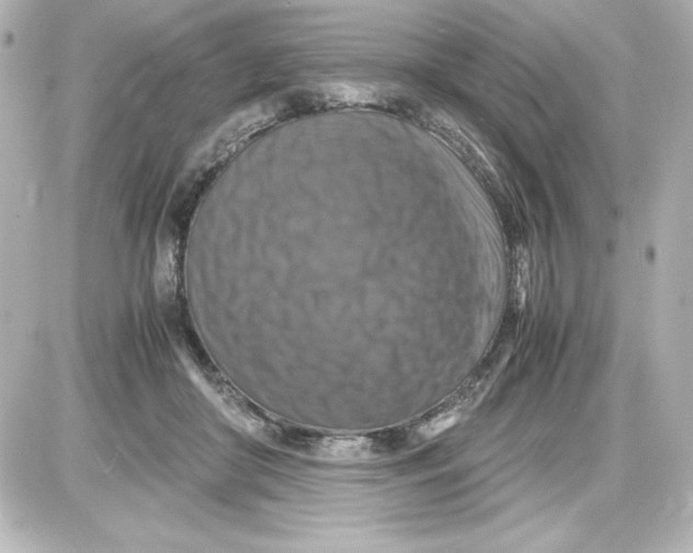 X0000087420410200705111921