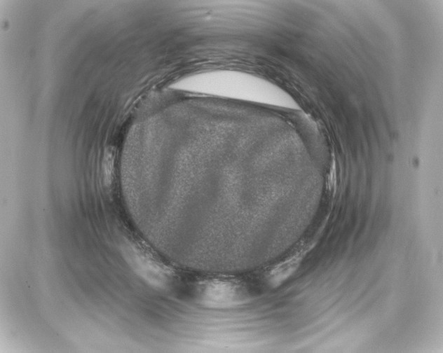 X0000087420412200705111921