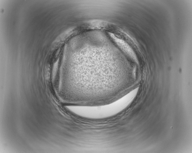 X0000087420413200705111921