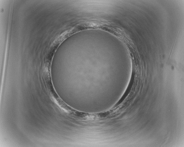 X0000087420415200705111921