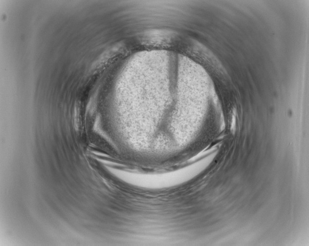 X0000087420416200705111921
