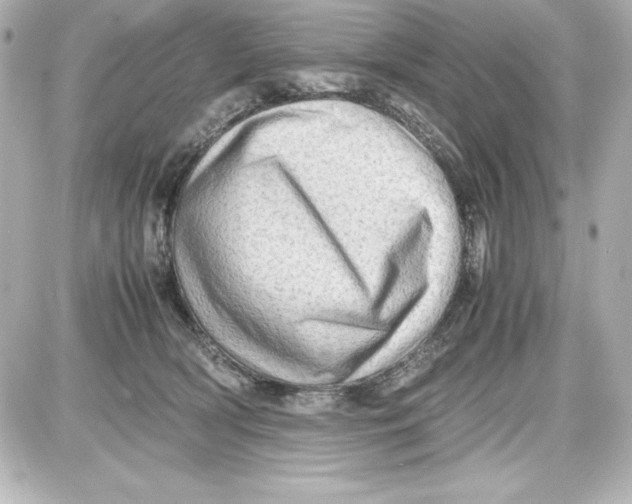 X0000087420418200705111921
