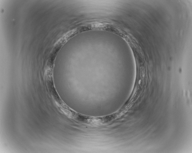 X0000087420419200705111921