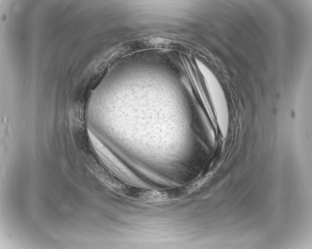 X0000087420421200705111921