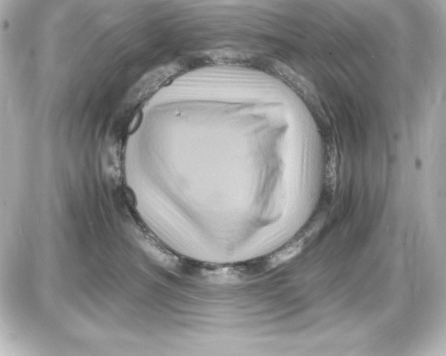 X0000087420430200705111921
