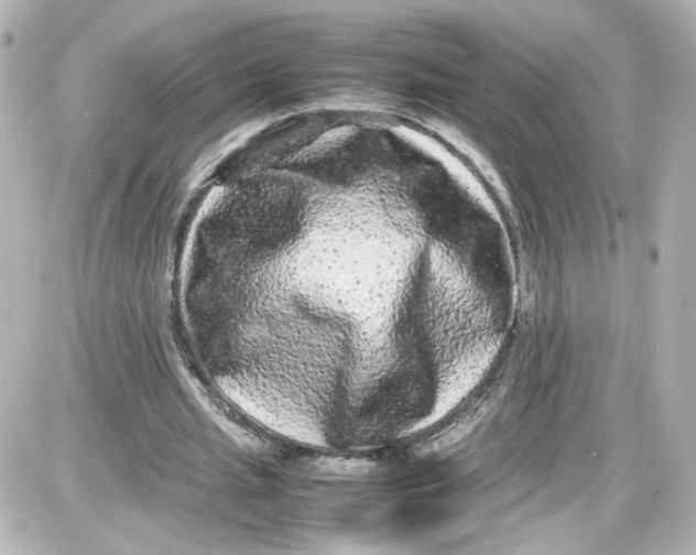 X0000087420437200705111920