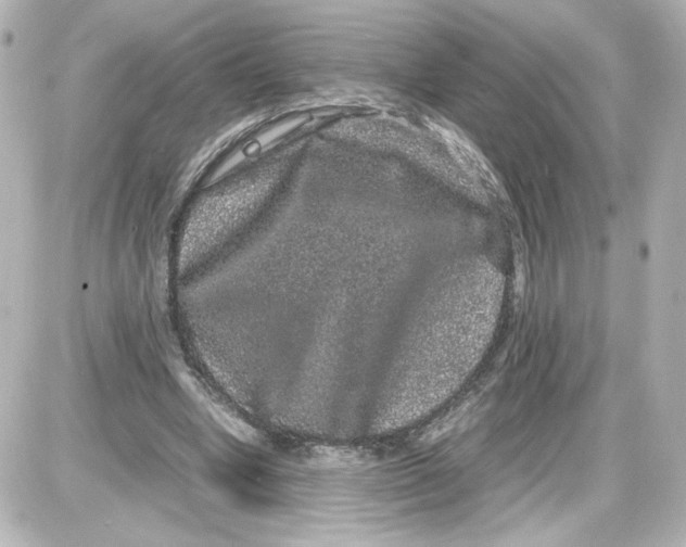 X0000087420442200705111920