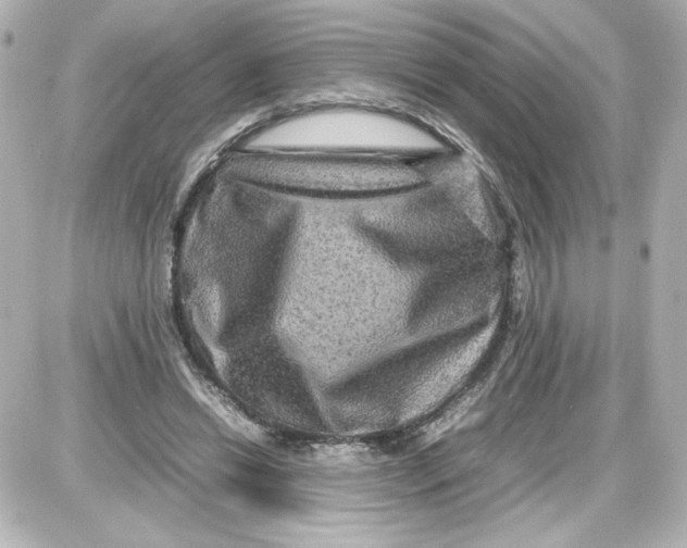 X0000087420446200705111920