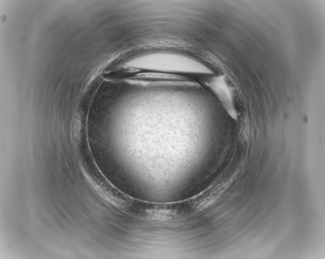 X0000087420448200705111920
