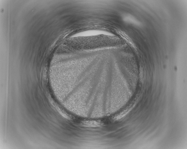 X0000087420449200705111920