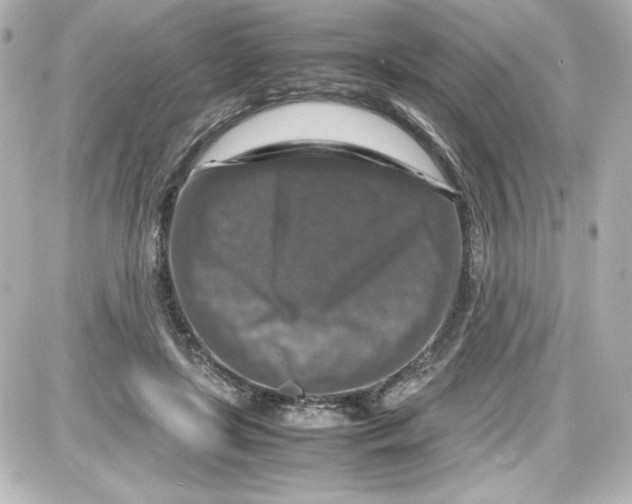 X0000087420451200705111920