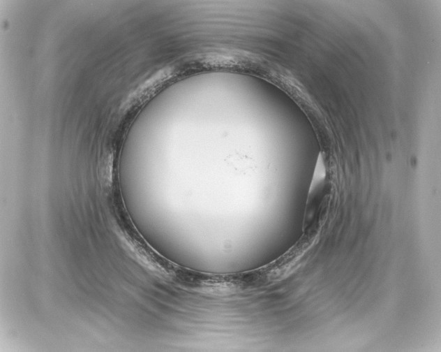 X0000087420454200705111920