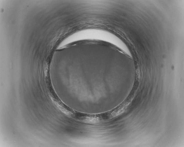 X0000087420458200705111920