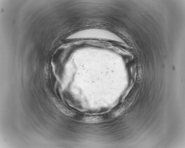 X0000087420461200705111920
