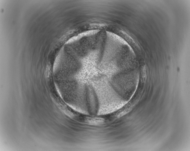 X0000087420463200705111920