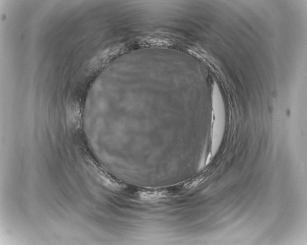 X0000087420465200705111920