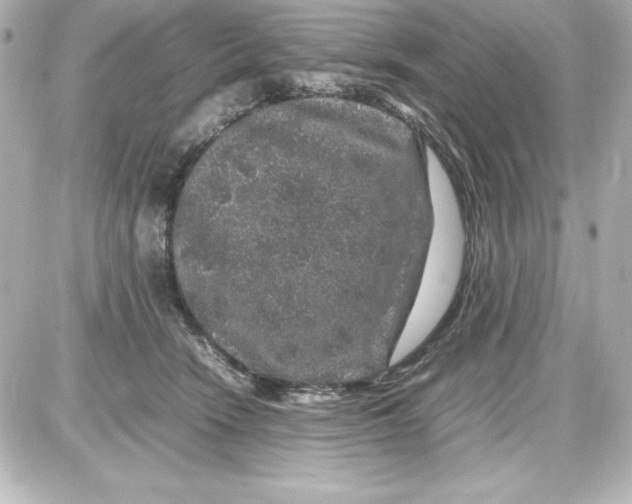 X0000087420466200705111921