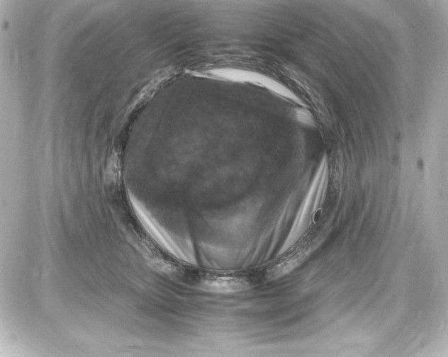 X0000087420467200705111921