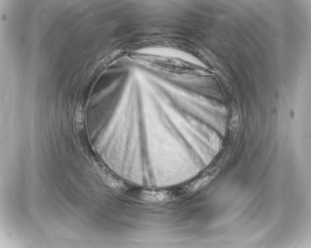 X0000087420469200705111921