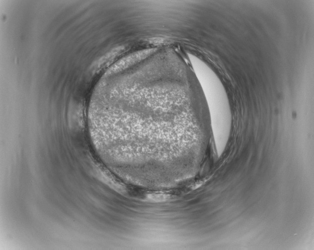 X0000087420470200705111921