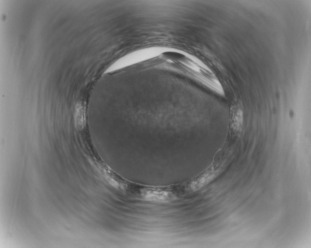 X0000087420471200705111921