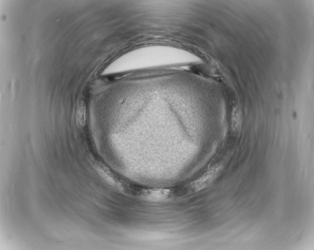 X0000087420474200705111921