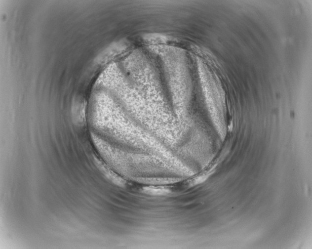 X0000087420477200705111921