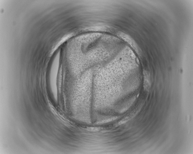 X0000087420482200705111920