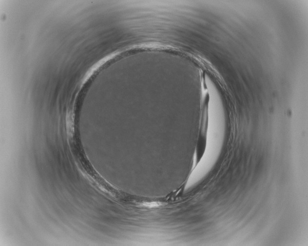 X0000087420484200705111920