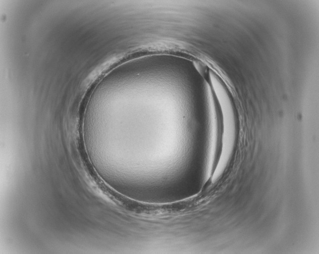 X0000087420485200705111920