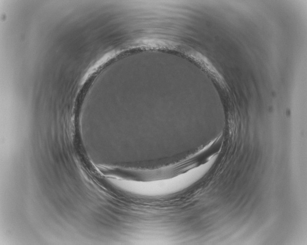 X0000087420488200705111920