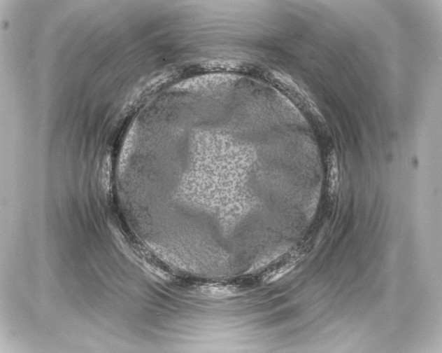 X0000087420498200705111920