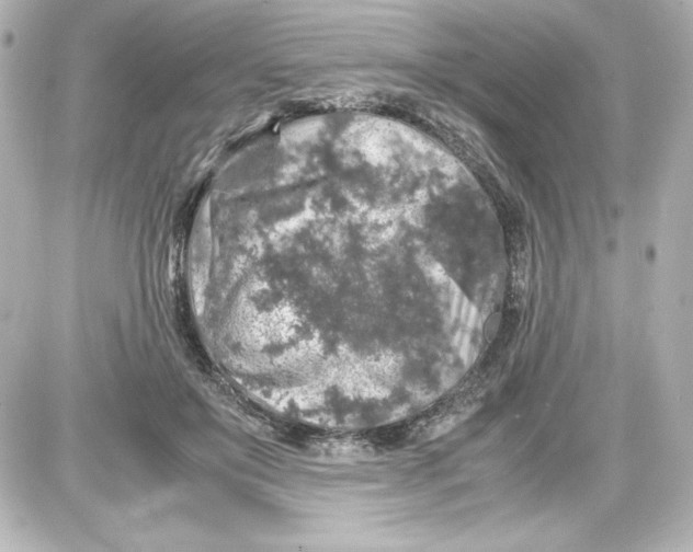X0000087420503200705111920