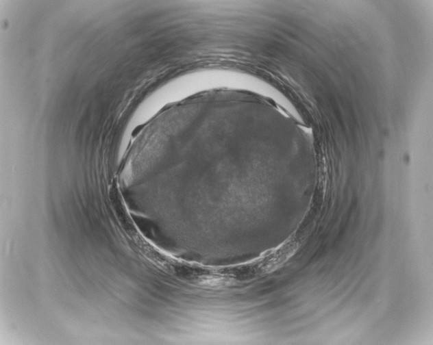 X0000087420504200705111920