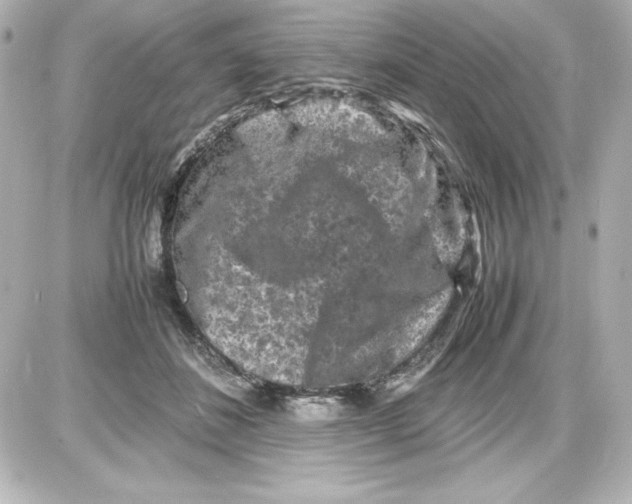 X0000087420508200705111920