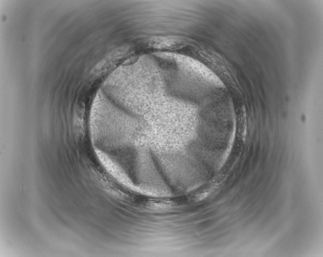 X0000087420510200705111919