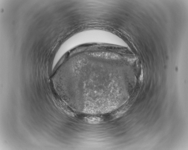 X0000087420512200705111919
