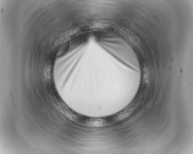 X0000087420514200705111919