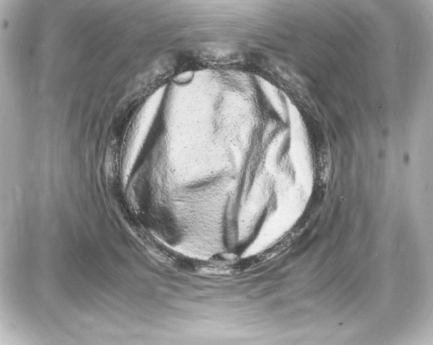 X0000087420515200705111919