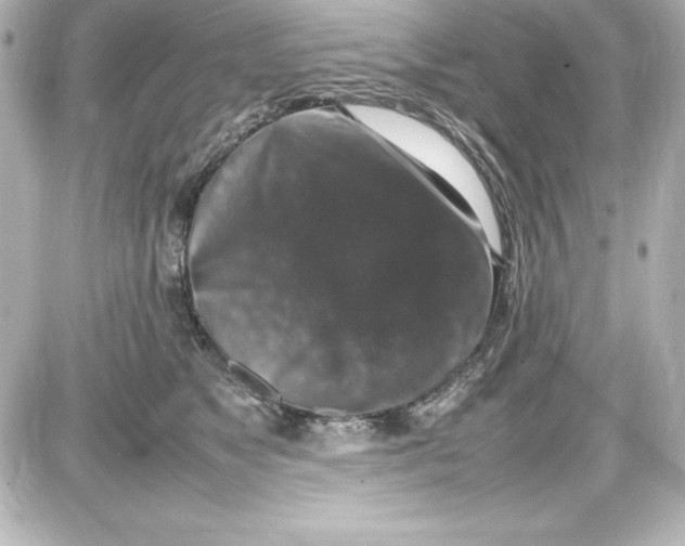 X0000087420517200705111919