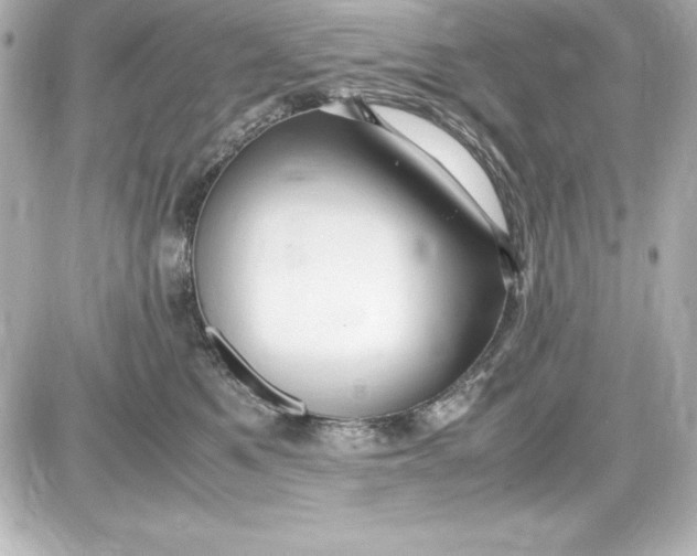 X0000087420521200705111919