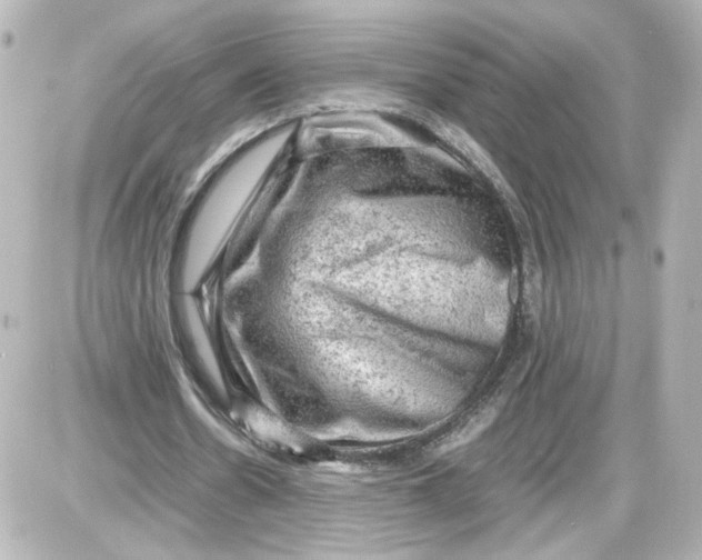 X0000087420530200705111918