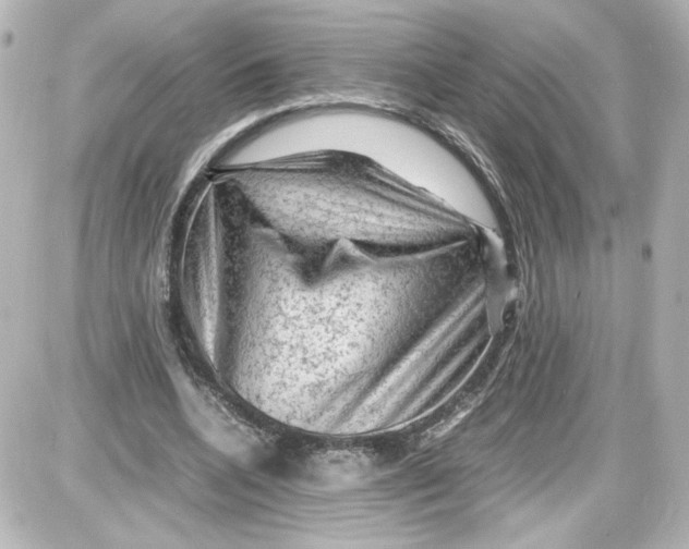 X0000087420536200705111919