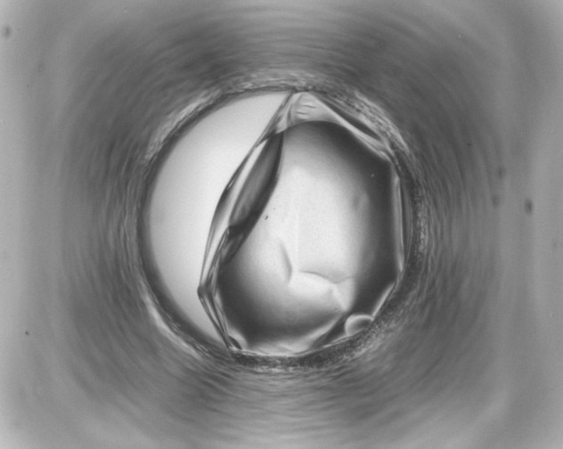 X0000087420538200705111919