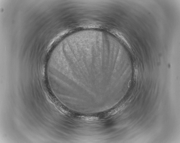 X0000087420539200705111919