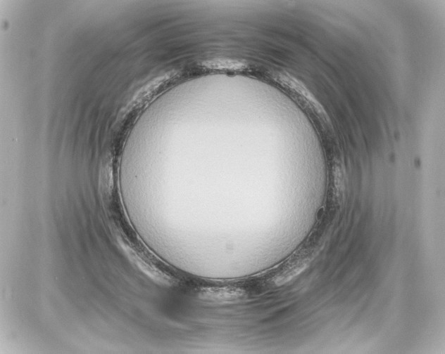 X0000087420541200705111919