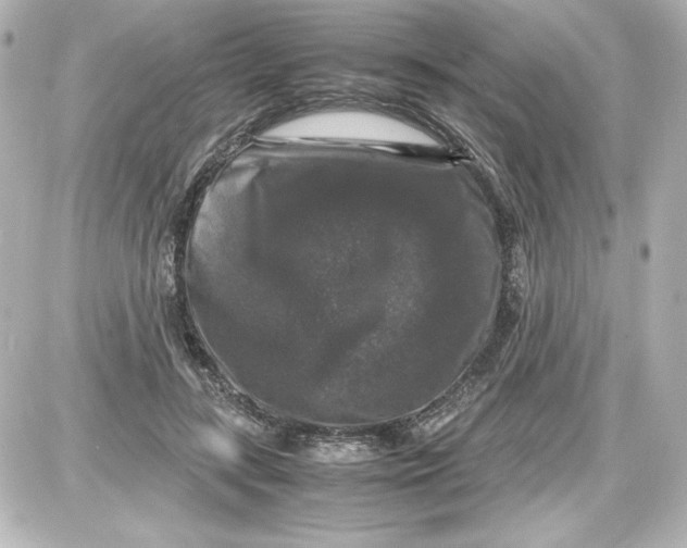 X0000087420547200705111919