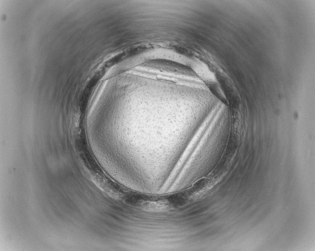 X0000087420548200705111919