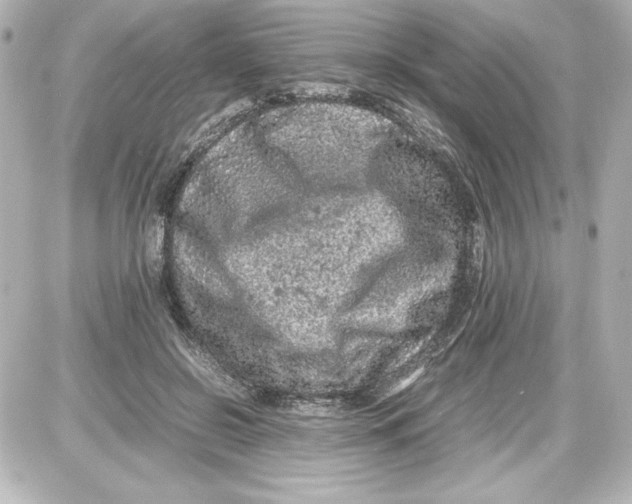 X0000087420550200705111919