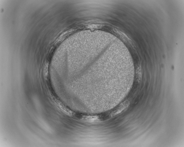 X0000087420554200705111919